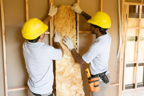 Professional Insulation Installation & Removal in Sheboygan Falls, WI